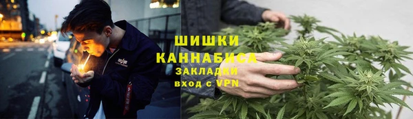 PSILOCYBIN Богородицк